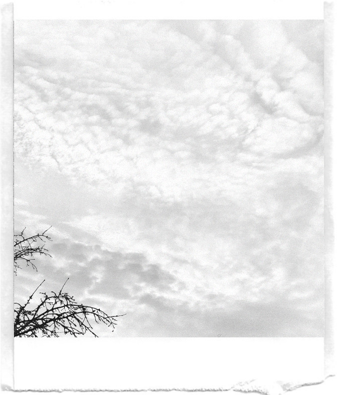 A black-and-white pocket printer-style photo of a bright sky covered with soft, wave-like clouds. In the bottom left corner, there is the tip of bare branches.