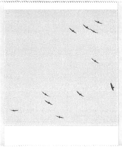 A black and white pocket printer style photo of birds in the sky