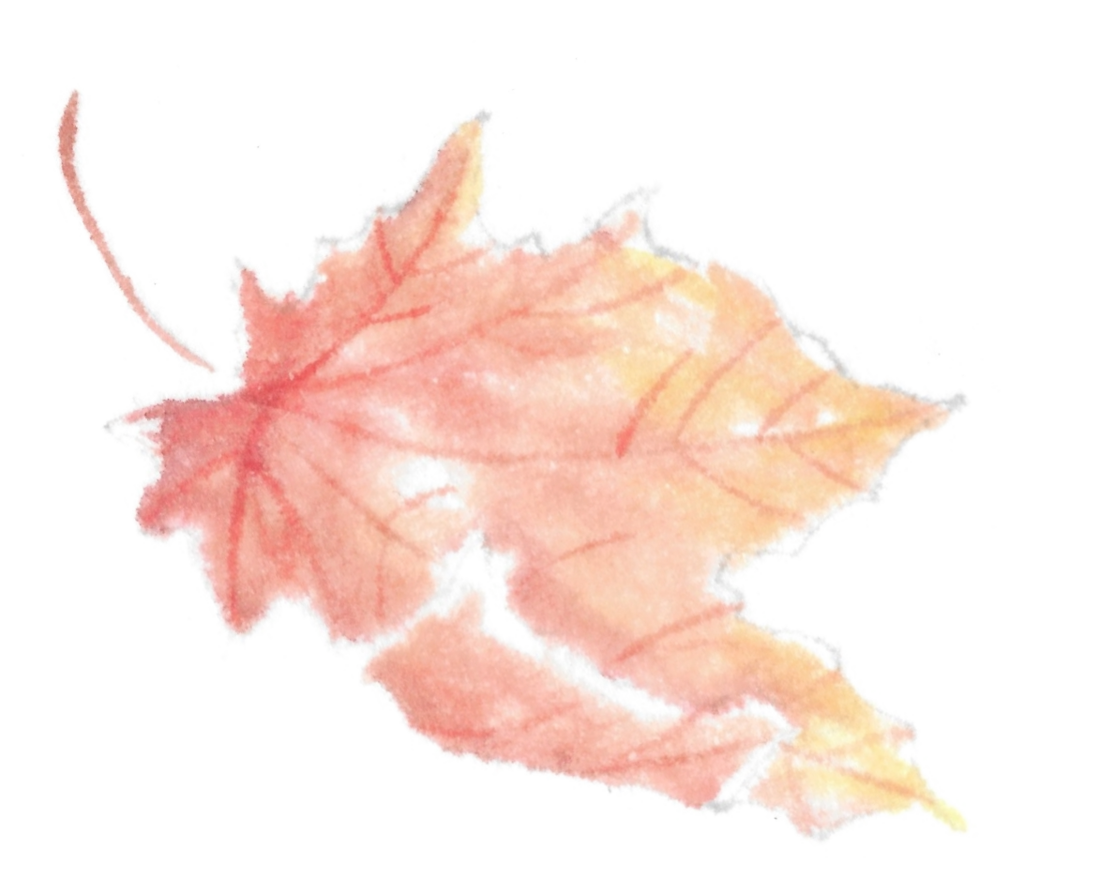 A minimalist sumi-e painting of a maple leaf in yellow and red hues, gracefully falling against a plain off-white background.