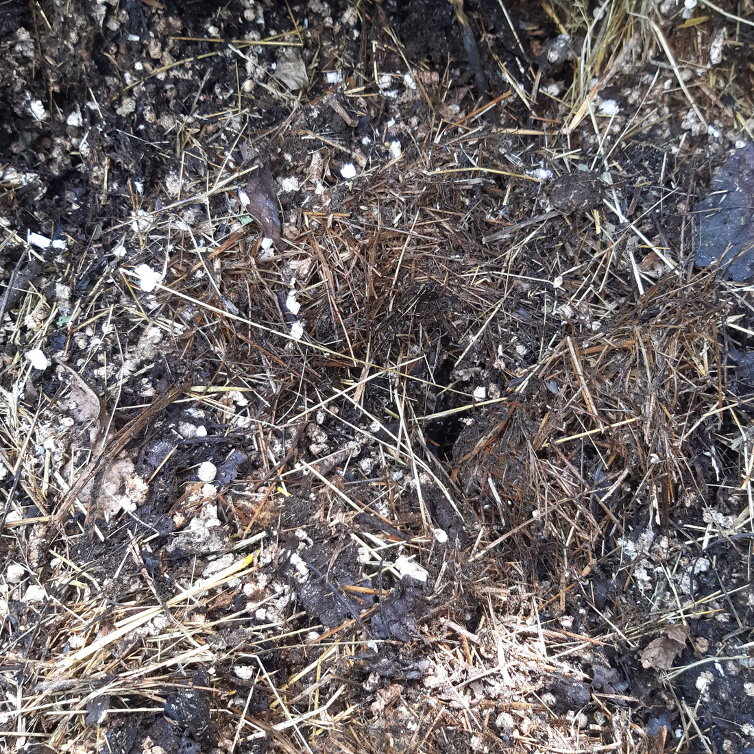 Close-up of compost.