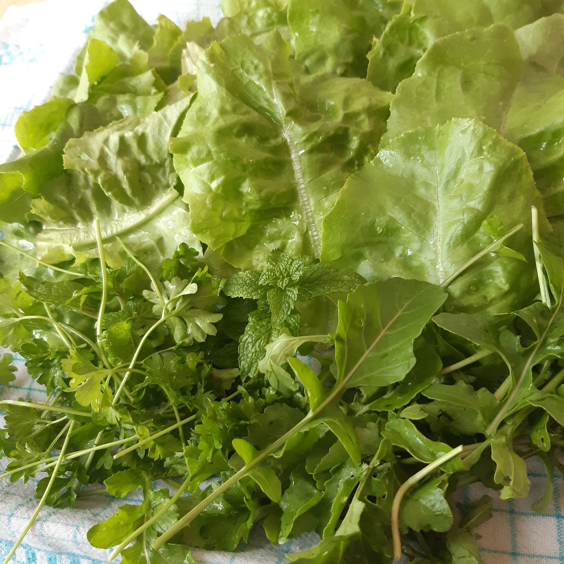 Pile of harvested vegetables and herbs.