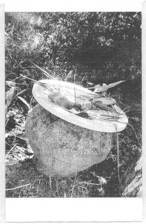 A black and white pocket printer style photo of a bird bath.