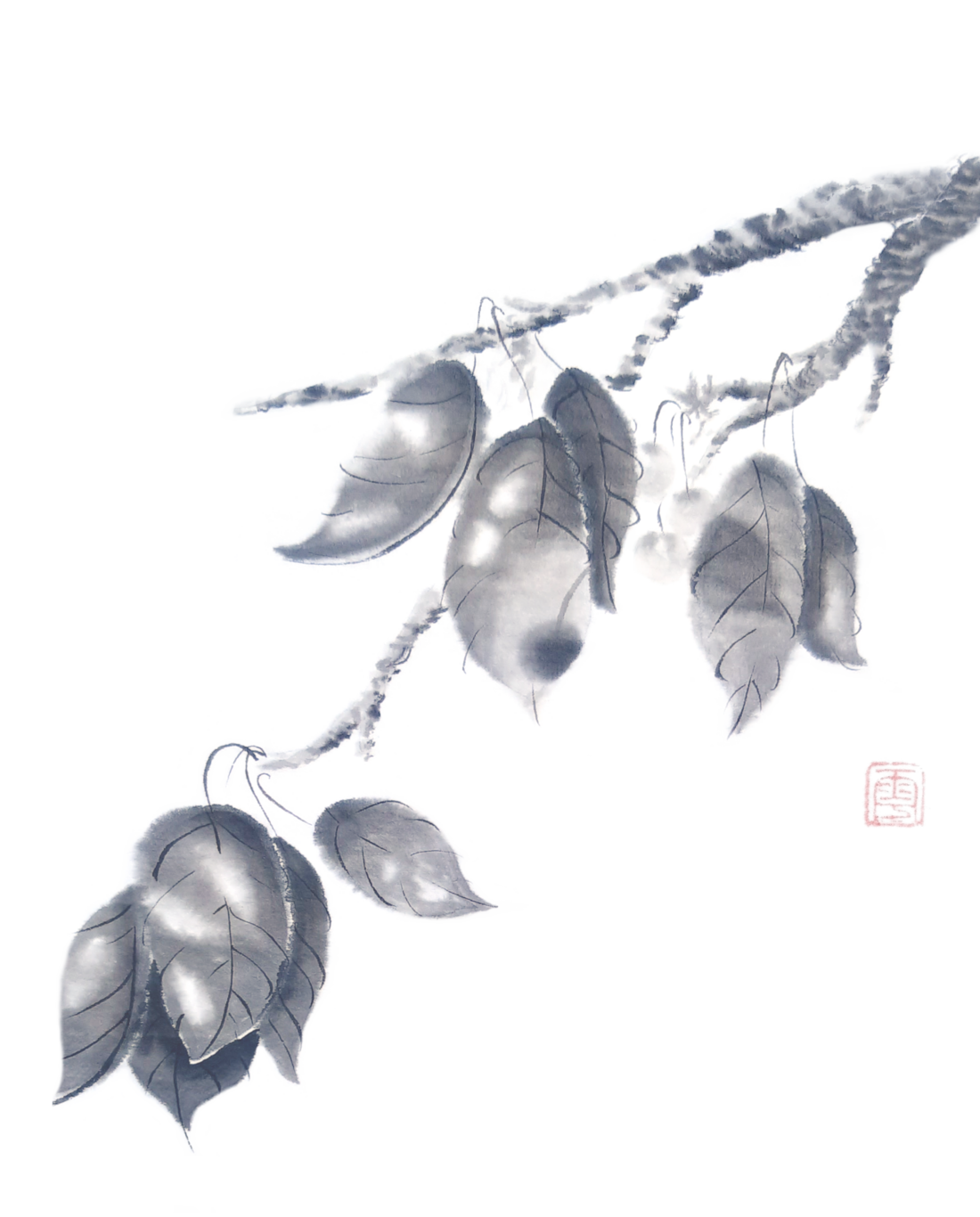A graphic with a light background containing text and painting. The haiku at  the bottom left corner reads: 'hint of red / on a young cherry ~ / passing clouds'. Above, there's a sumi-e painting in shades of gray  depicting two thinner branches of a cherry tree stretching from top to  bottom right. Three bundles of leaves are present, each with several leaves. Some leaves appear to be moving as if in the breeze. Shadows and highlights can be seen on the leaves, depicting dappled light.
        Behind some of the leaves, there are three slightly hidden cherries.