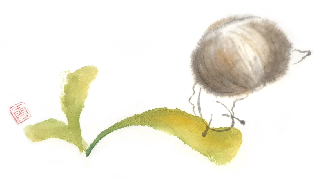 A simple sumi-e painting of a snail feeding on a lettuce seedling