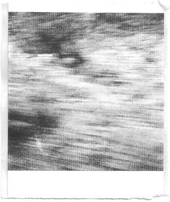 A black and white pocket printer style photo of blurred bushes seen from a train window.