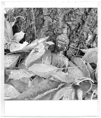 A black and white pocket printer style photo of the Buddha statue leaning against a tree. The statue is blanketed by leaves. 