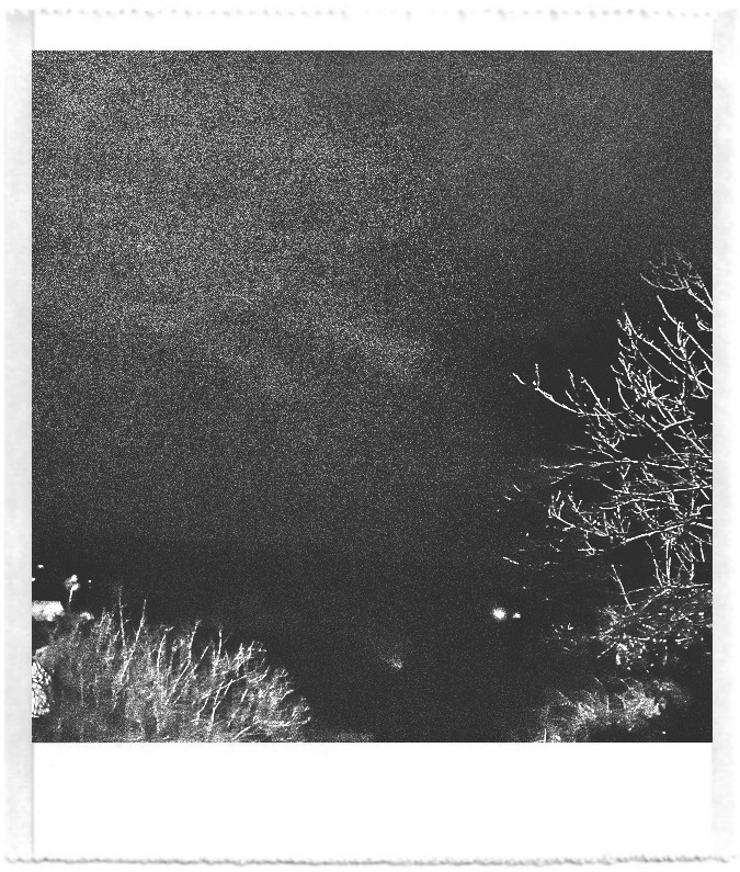 A black and white grainy pocket printer style photo. It shows dark night sky with bare tree branches covered in snow reflecting light. There are faint village lights in the distance.